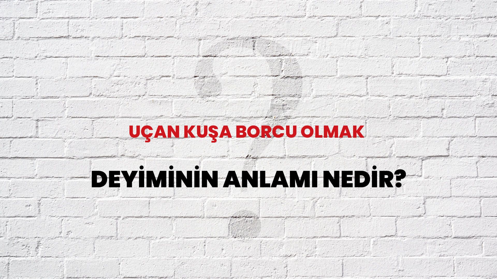 Uçan Kuşa Borcu Olmak Deyiminin Anlamı Nedir?
