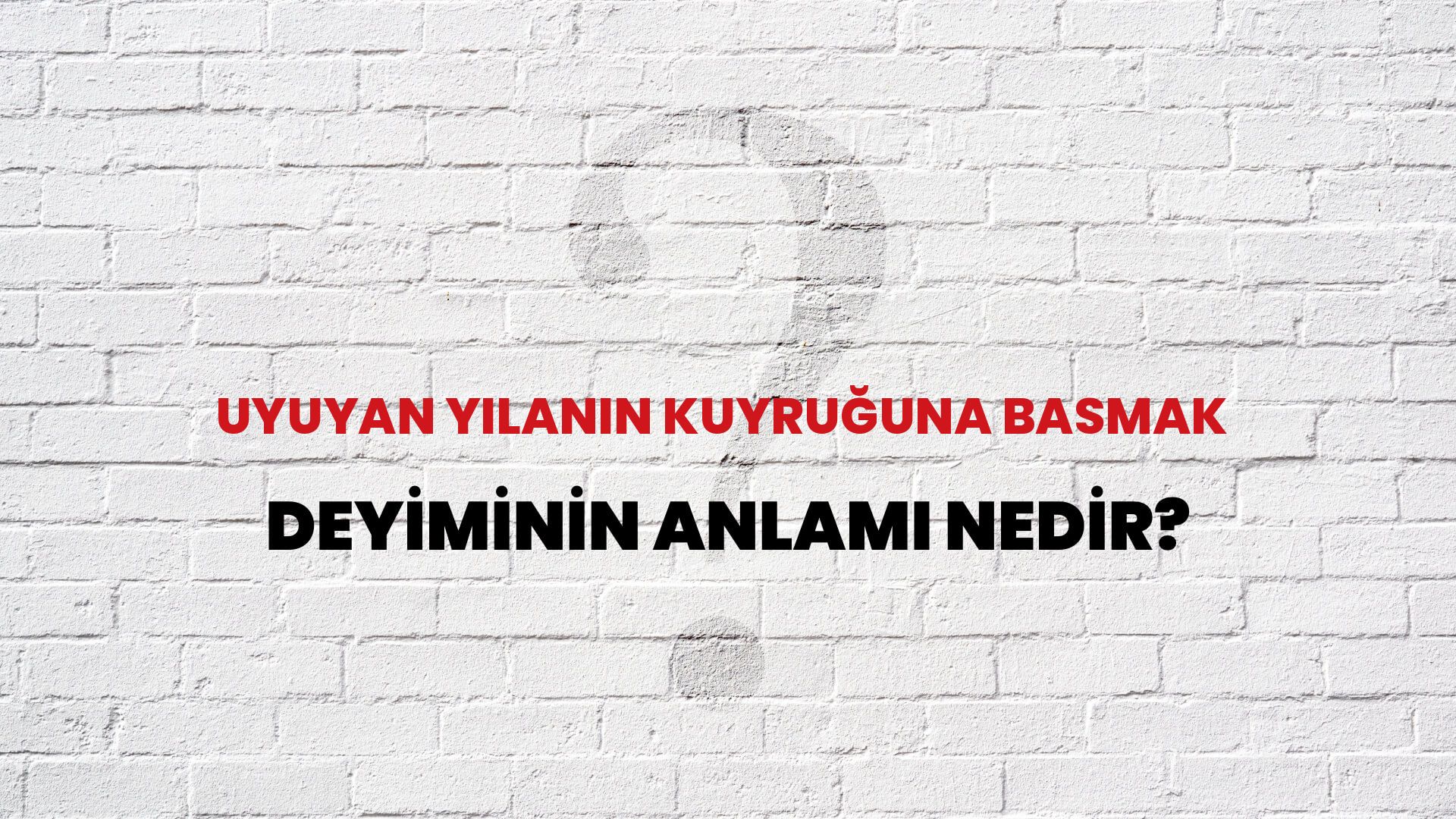 Uyuyan Yılanın Kuyruğuna Basmak Deyiminin Anlamı Nedir?