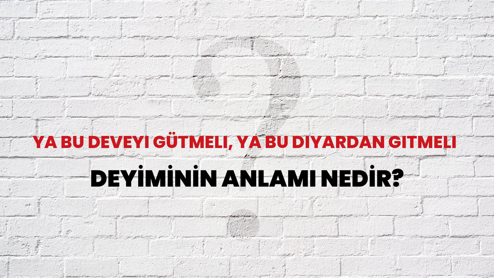 Ya Bu Deveyi Gütmeli, Ya Bu Diyardan Gitmeli Deyiminin Anlamı Nedir?