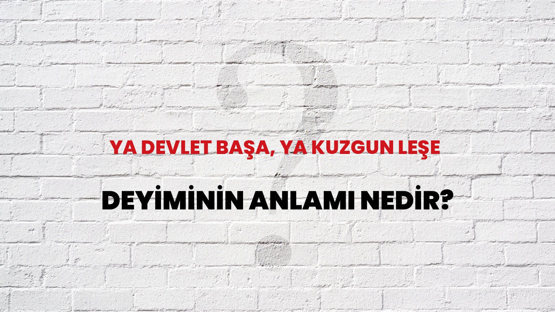 Ya Devlet Başa, Ya Kuzgun Leşe Deyiminin Anlamı Nedir?