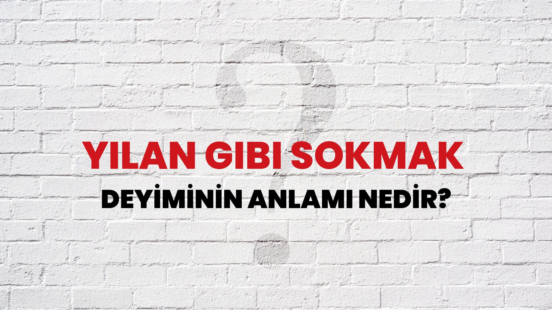 Yılan Gibi Sokmak Deyiminin Anlamı Nedir?