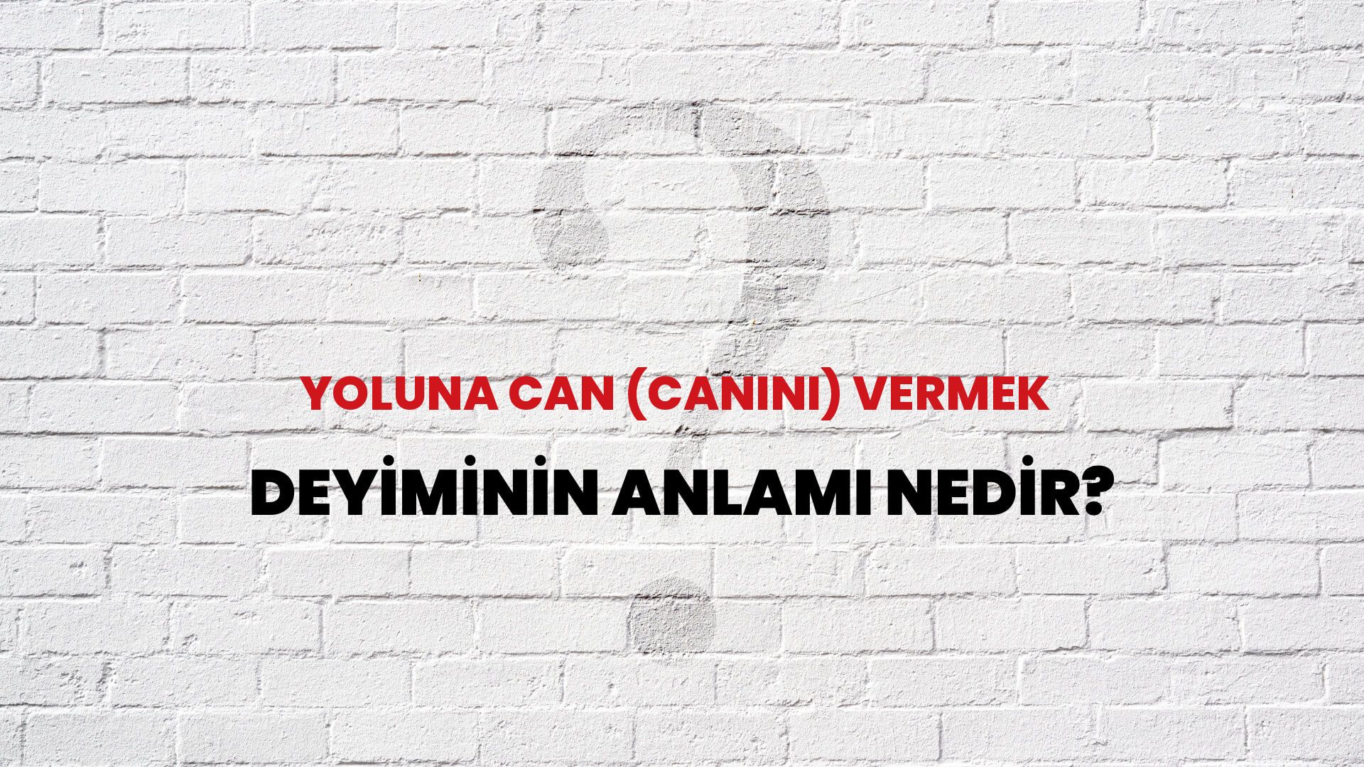 Yoluna Can (Canını) Vermek Deyiminin Anlamı Nedir?