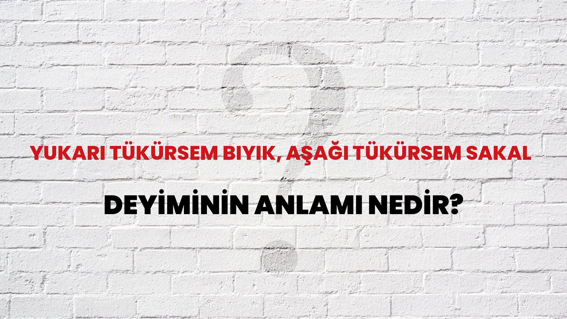 Yukarı Tükürsem Bıyık, Aşağı Tükürsem Sakal Deyiminin Anlamı Nedir?