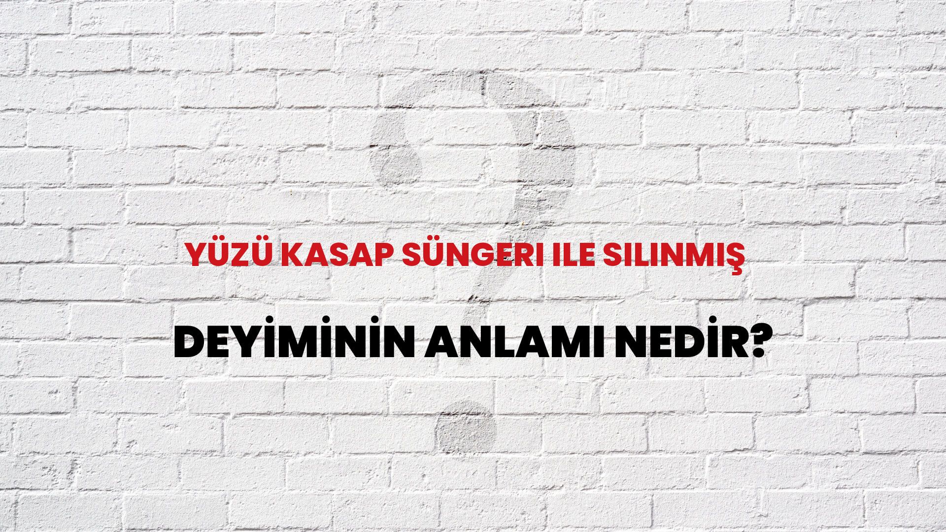 Yüzü Kasap Süngeri Ile Silinmiş Deyiminin Anlamı Nedir?