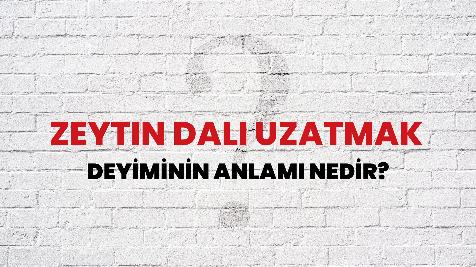 Zeytin Dalı Uzatmak Deyiminin Anlamı Nedir?