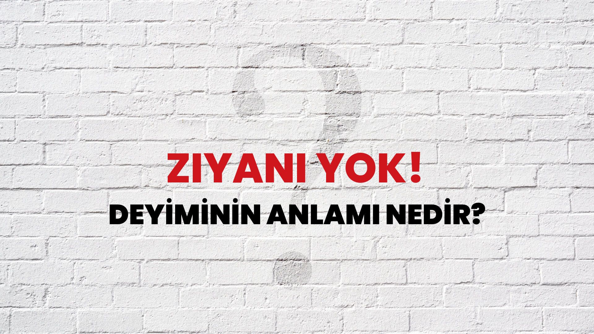 Ziyanı Yok! Deyiminin Anlamı Nedir?