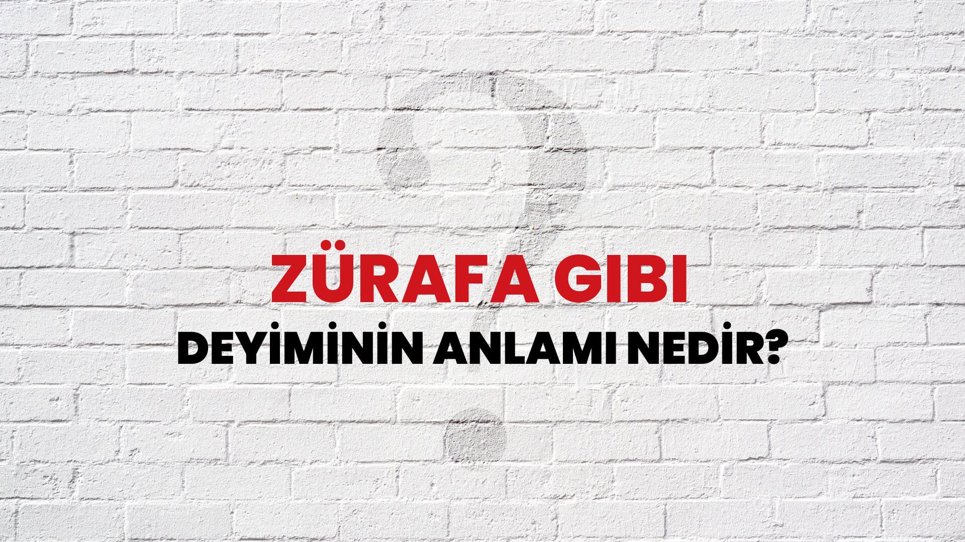 Zürafa Gibi Deyiminin Anlamı Nedir?