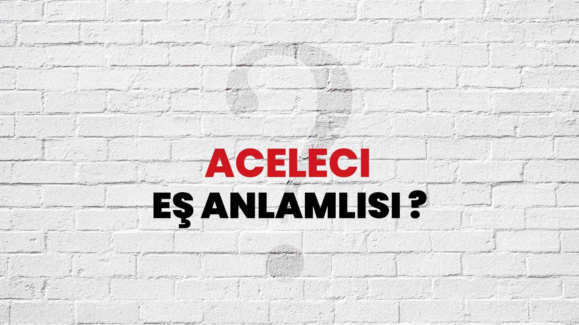 Aceleci kelimesi eş anlamlısı nedir?