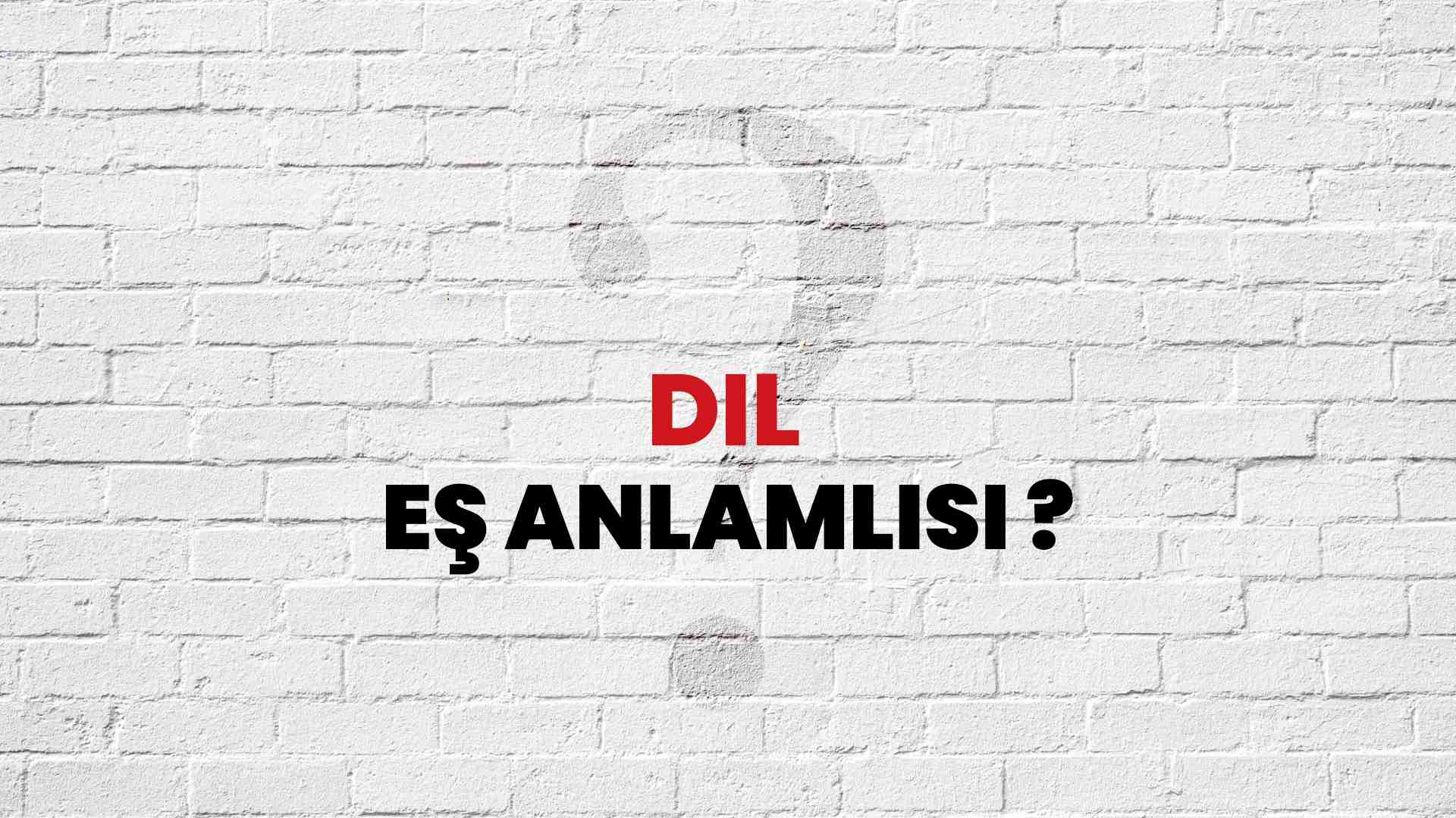 dil-kelimesi-e-anlaml-s-nedir-habert-rk