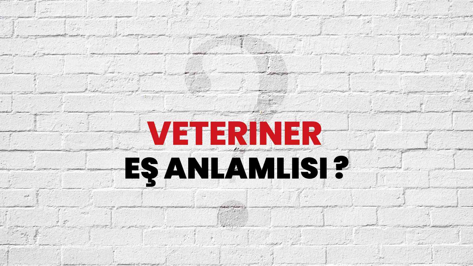 Veteriner kelimesi eş anlamlısı nedir?