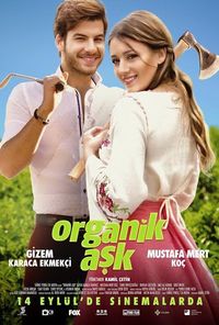 gizem karaca ekmekci oynadigi filmler
