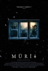 Jaeden Martell Oynadigi Filmler