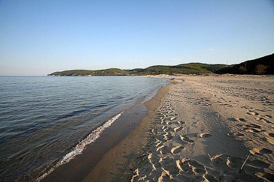KASTROTekirdağ'ın Karadeniz'e açılan tek kıyısı olan Kastro dişbudak ağaçlarıyla süslü yemyeşil bir koy. Koruma altındaki bu milli parkta denize girebilir, Bahçeköy Deresi'nde deniz bisikletiyle gezebilir ya da muhteşem ormanda yürüyüş yapabilirsiniz