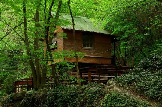 MAŞUKİYE-KARTEPEİstanbul'a 100 km uzaklıkta. İstanbula yakın olması sebebi ile son yıllarda popüler olan Maşukiye, kayak tesislerinin açılması ile birlikte ilgi odağı haline gelen kışın kayak merkezii oldu. Ancak bölge yazın da doğa ve yeşil ile buluşmak isteyenlerin merkezi durumunda