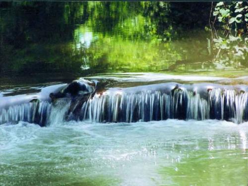 SAPANCAİstanbul'a 100 km uzaklıkta. Sapanca, stresli şehir hayatından bunalıp kendini doğaya bırakmak isteyenler için vazgeçilmez yerlerden biri. Yeşil ve Mavinin farklı tonlarını Sapanca'nın doğasında görebilirsiniz