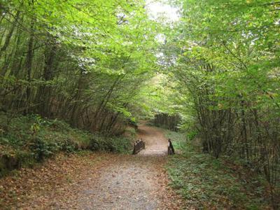 POLENEZKÖYİstanbul'a 25 km uzaklıkta. Şehrin karmaşasından uzak, doğayla baş başa, keyifli bir yemek, yemyeşil doğanın içinde huzur dolu anlar geçirebileceğiniz bir yer. Polonezköy'e gitmişken 1912 yılınde inşaatına başlanan kiliseyi mutlaka görün. Kilise papaz eviyle birlikte 1914 yılında bitirilmiş.  Kilisenin yanı sıra Atatürk'ün Polonezköy'ü ziyareti esnasında kaldığı evi de görmeniz mümkün.