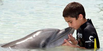 2005'de ABD'de yaşanan Katrina Kasırgası'nın mağdurlarından Hurwitz adlı çocukla bu yunus aynı kaderi paylaşmış ve evinden olmuş. İkisi de yeni hayatlarına Bahamalar'da devam ediyor.