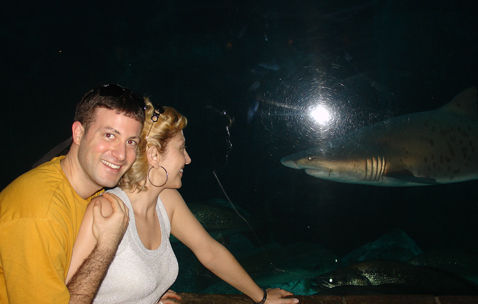 Şarkıcı Hamiyet boşandı.