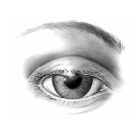 Yaygın sağlık sorunlarında başvurulan geleneksel yöntemler arasında arpacığa müdahale dikkati çekiyor. Buna göre ısıtılmış odun, hamur koyma; çay buharına tutma; köpek dışkısı şeker, sarımsak ve nişan yüzüğü sürme şeklindeki tedavi yöntemleri, arpacık için tercih ediliyor. -