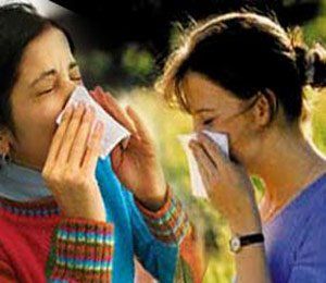 DOMUZ GRİBİ BİTTİ TEHLİKE KALMADI: - İçinde bulunduğumuz dönem ve gerçekler düşünüldüğünde "Domuz gribi bitti!" şeklinde bir düşüncenin hiçbir bilimsel dayanağı yok. Grip salgınları her yıl belirli aralıklarla gerçekleşir. İlk salgın genellikle kasım sonunda başlar ve birkaç hafta sonra - biter. Bu arada başka solunum yolları virüsleriyle ortaya çıkan salgınlar görülebilir. Gribin ikinci salgını genellikle ocak ayında başlayıp şubat ayının sonlarına kadar sürer. Şubattan sonra yayılma hızında azalma görülür ve nisan sonlarında salgının artık görülmediği gözlenir. Ancak ikinci grip salgınında A/H1N1 (domuz gribi) değil de A/H3N2 ya da B virüslerinin rol oynayabileceği olasılığı unutulmamalıdır. Bu da ancak salgın yeniden hızını artırdığında anlaşılır.