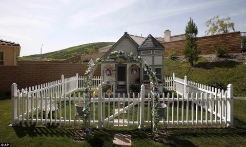 ABD'de California'lı bir köpeksever, köpekleri için bahçesi, tonozlu çatısı, kliması, televizyonu bulunan lüks bir "malikane" inşa ettirdi.