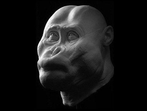 Paranthropus aethiopicus