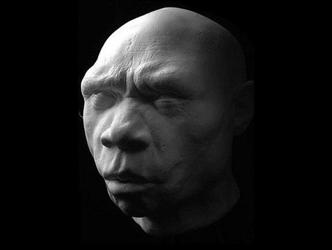 Homo floresiensis