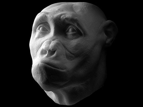 İŞTE ATALARIMIZIN YÜZLERİ -  Neandertal geni taşıyoruz. Sahelanthropus tchadensis
