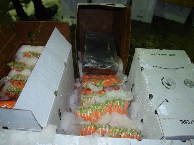 Otay Mesa Kargo kamyonunda 42 koli havuçun içine saklanmış olan uyuşturucu madde bulundu.  -