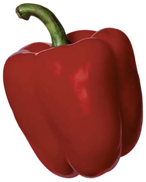 KIRMIZI BİBER: - Cinsel isteği artırdığı söylenen kırmızı biberin, damar sertliği, üre ve tansiyonu olan kişilerce kullanılmaması öneriliyor.