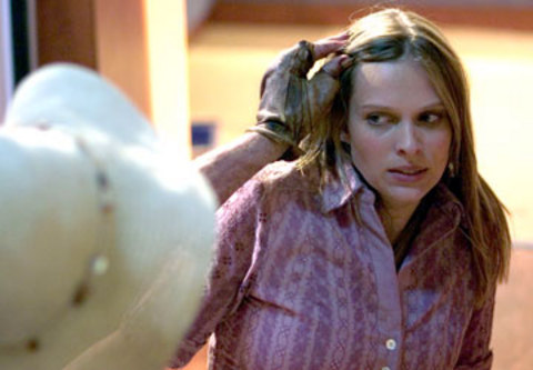 Vinessa Shaw (The Hills Have Eyes)