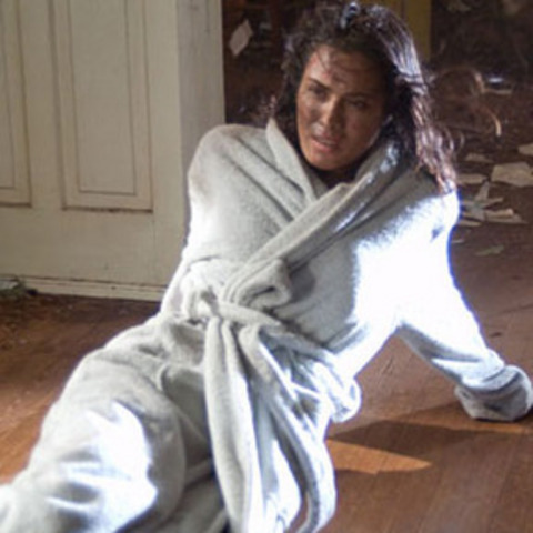 Shannyn Sossamon(One Missed Call)