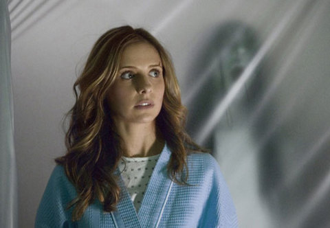 Sarah Michelle Gellar(The Grudge)