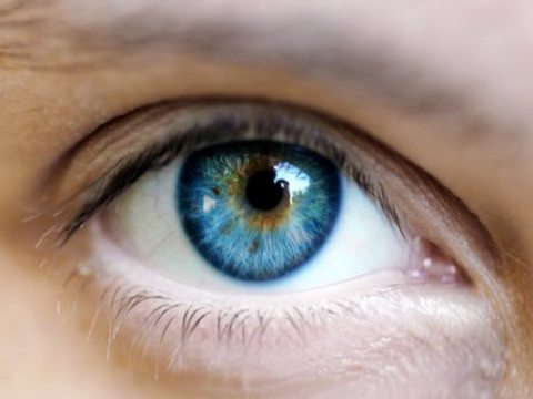 Kırmızı göz iltihabı: Konjonktivite sebep olan virüsler özellikle yaz mevsiminde sıcağın ve nemin artmasıyla birlikte kolaylıkla insandan insana geçiyor. Bu yüzden son bir iki gündür hastanelere başvuranların sayısında artış yaşandı. Özellikle solunum yoluyla insandan insana geçiyor olması virüsün hızla yayılmasına yol açıyor. -