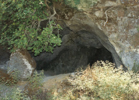 Ayı inlerinin girişleri herzaman kuzeye bakar.