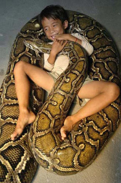 Son 4000 sene içerisinde herhangi yeni hayvan evcilleştirilmemiştir