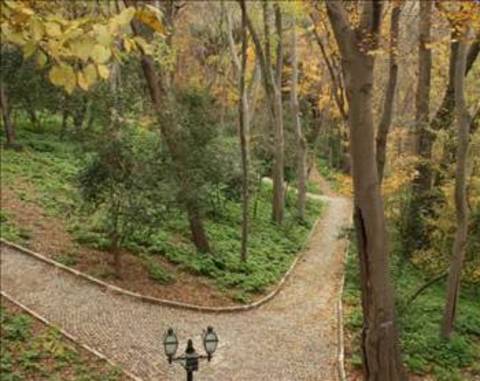 Yıldız Parkı'nda baharın keyfini çıkartmak