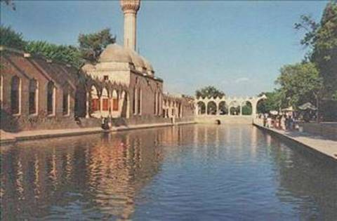Urfa'da Balıklı Göl'de balıkları seyretmek