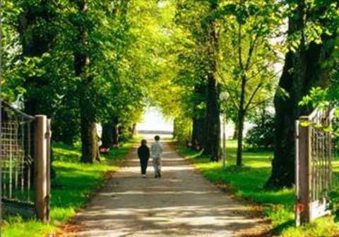Maçka parkında çimlere yatıp bulutları izlemek