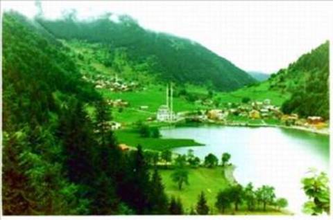 Trabzon'da Uzungöl'e doğru çimlerde uzanmak