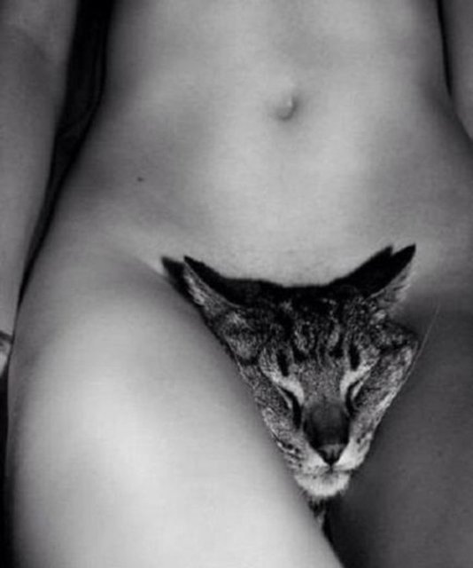 Çıplak haldeyken kediyi bacaklarının arasına sıkıştırıp fotoğrafını çeken ve bu kareyi hesabında paylaşan modelin hayvana eziyet ettiği ileri sürüldü.  -