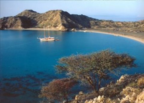 Kızıldeniz