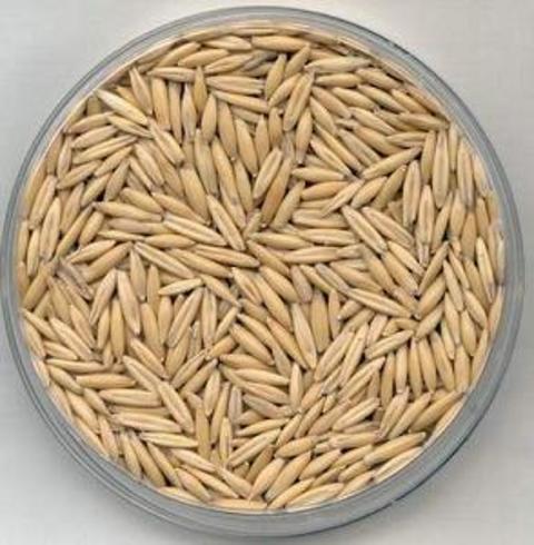 YULAF: Vitamin ve madensel tuz içerir, vücuttaki zararlı toksinleri atar.