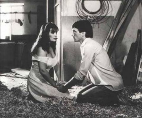 FAHRİYE ABLA (1984)