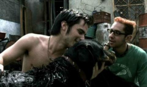 AMORES PERROS (PARAMPARÇA AŞKLAR VE KÖPEKLER) -  - Yönetmen: Alejandro Gonzales Inarritu (2000)
