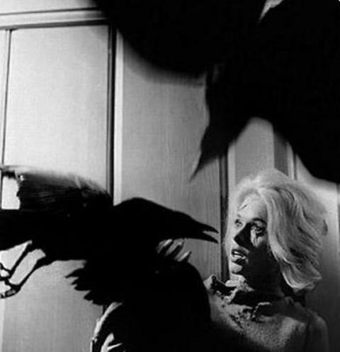 THE BIRDS (KUŞLAR) -  - Yönetmen: Alfred Hitchcock (1963)