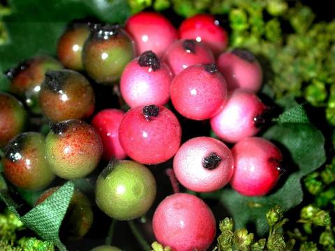 Yabanmersini, kalınbağırsak ve lösemide etkili.