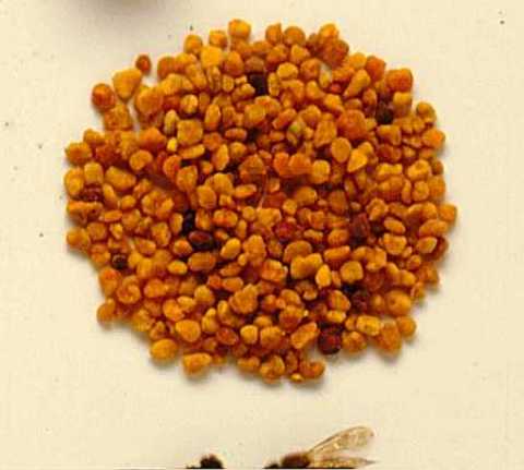 Arı poleni, akciğer, beyin, kalın bağırsak, lösemi, malign, melanom, meme ve prostat kanserinde etkili. Ayrıca akciğer kanserine karşı koruyucu.