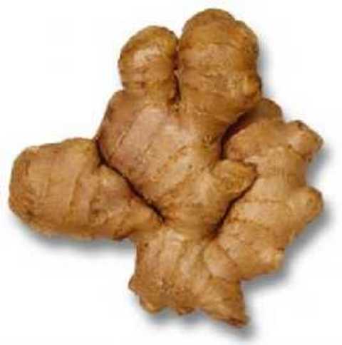 Zencefil, akciğer, kalın bağırsak, karaciğer, lenfoma, lösemi, malign melanom, meme, mide, pankreas ve yumurtalık kanserinde etkili. Zencefilin kanser hücrelerine etkisiyle ilgili laboratuvar çalışmaları yapıldı. Bu çalışmalarda, zencefilin akciğer, kalın bağırsak, malign melanom, meme, mide, karaciğer, pankreas, yumurtalık kanseri ile lösemi ve lenfoma hücrelerini öldürdüğü saptandı.