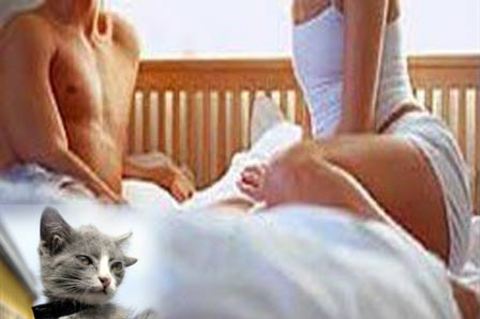 Bir kişi gerdeğe girmeden önce yanlışlıkla kediye basarsa başarısız olur.